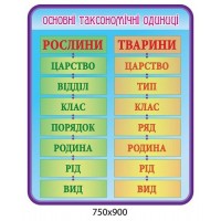Стенд Основные таксономические единицы