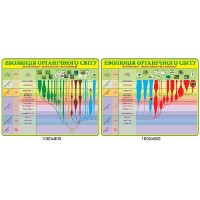 Стенд Эволюция органического мира (зеленый)