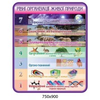 Стенд Уровни организации живой материи (фиолетовый)