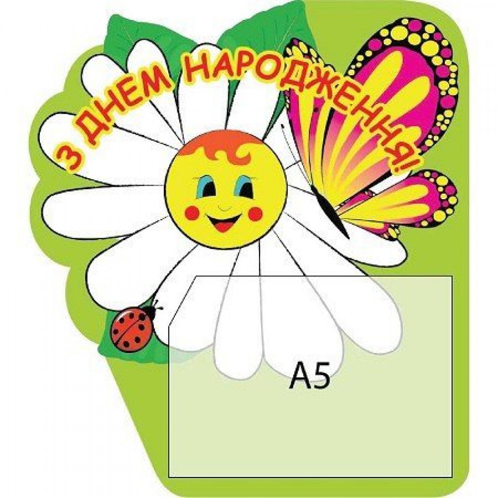 Стенд Поздравляем Ромашка с бабочкой