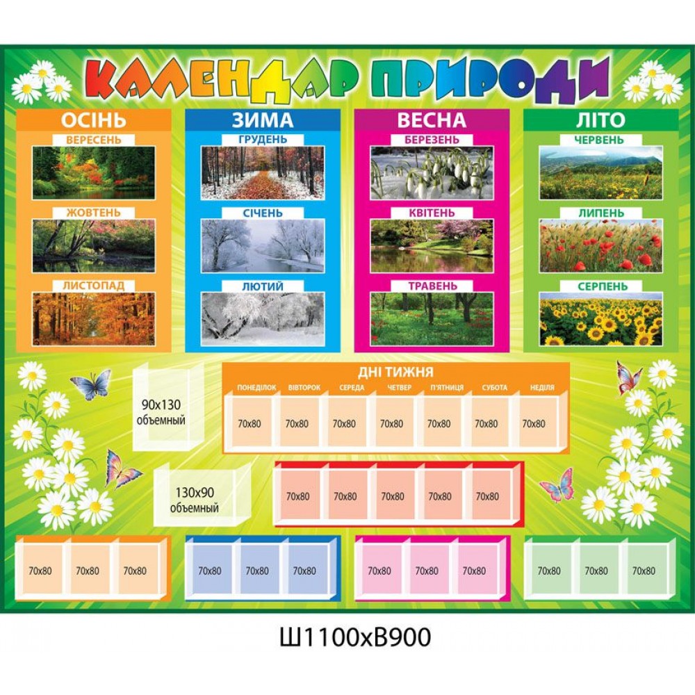 Календар природи Ромашки 