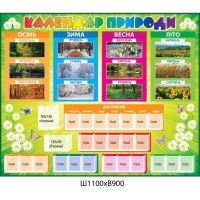 Календар природи Ромашки 