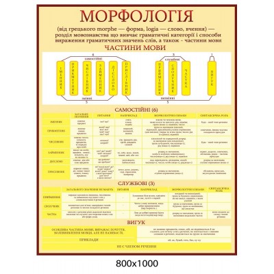 Стенд Морфологія (жовтий)