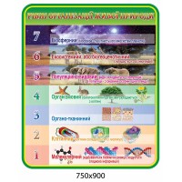 Стенд Уровни организации живой природы (зеленая шапка)