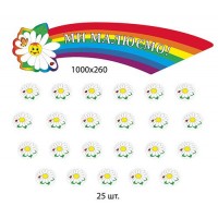 Комплект для выставки работ Ромашка