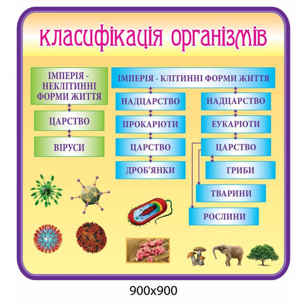 Стенд Класифікація организмів 