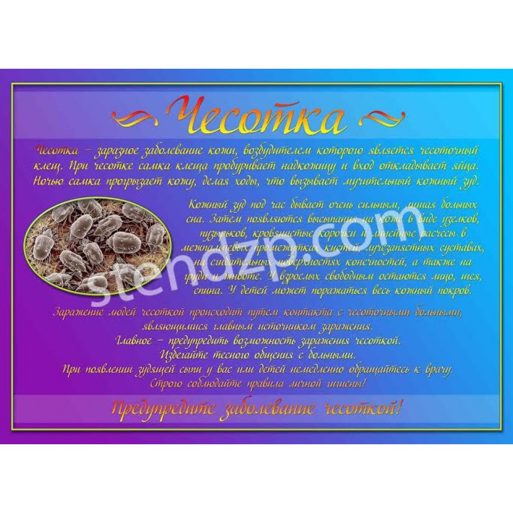 Медицинский стенд (фиолетовый)