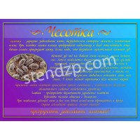 Медицинский стенд (фиолетовый)