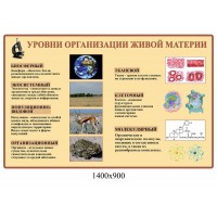 Стенд Уровни организаций живой материи (беж)