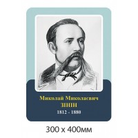 Портрет Зинин в кабинет химии