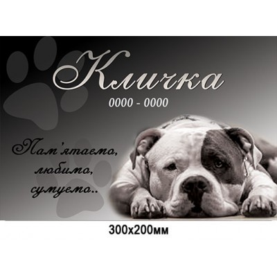 Табличка памятная с фото и скорбной надписью (300х200 мм)
