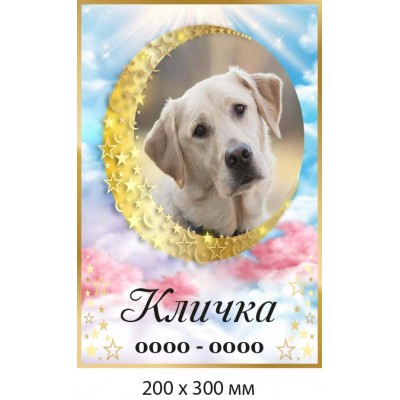 Памятная табличка для собаки 200×300 мм 