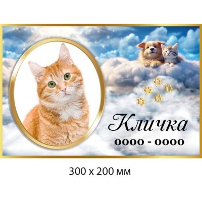 Памятная табличка для кота, кошки 300×200 мм 