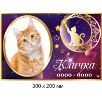 Памятная табличка для кота, кошки 300×200 мм