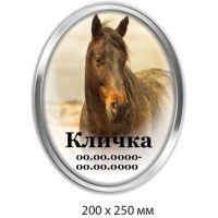 Ритуальная табличка на могилу 200х250 мм