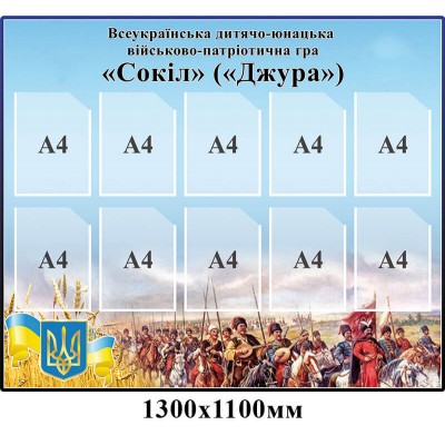 Патриотическая игра сокіл-джура на 10 карманов.  
