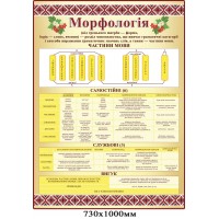 Стенд Морфология (патриотический)
