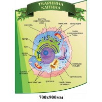Стенд Тваринна клітина зелений