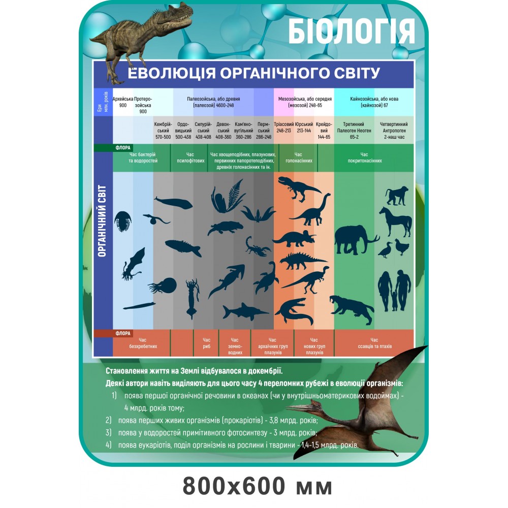 Стенд Эволюция органического мира (голубой)