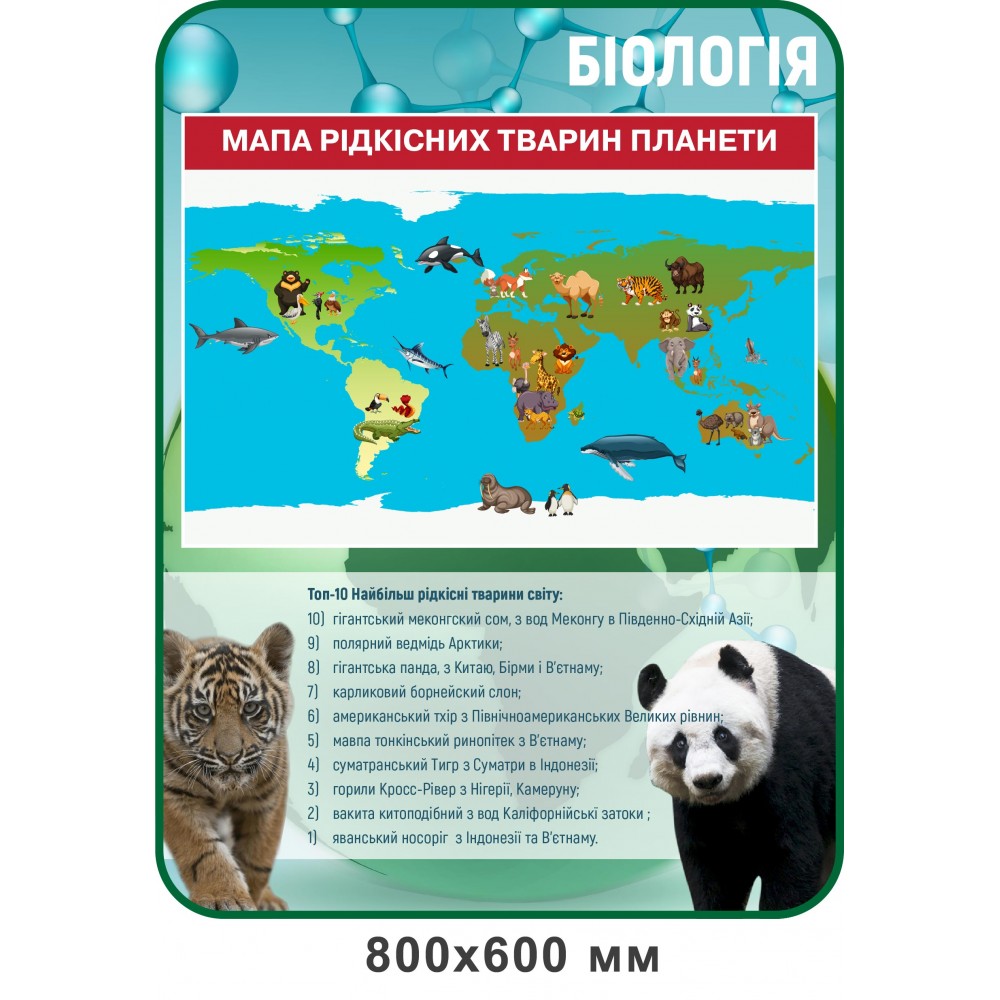 Стенд Мапа рідкісних тварин планети (блакитний)