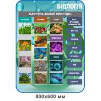 Стенд Царства живої природи (блакитний)