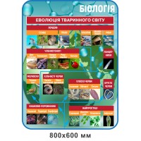 Стенд Эволюция животного мира (голубой)