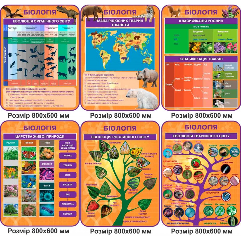 Комплект стендов для кабинета Биологии (оранжевый цвет)