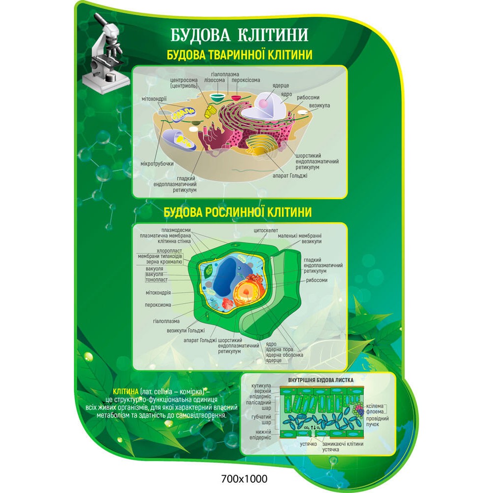 Стенд Строение клетки