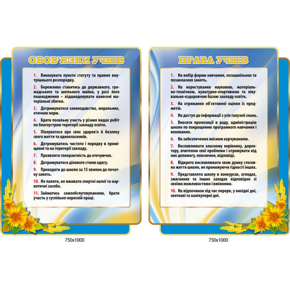 Комплект стендов Права учеников, обязанности учеников подсолнечник (цвет голубой)