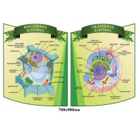 Комплект стендов для кабинета биологии зелёный