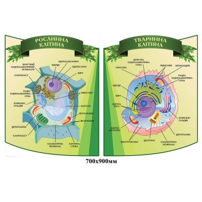 Комплект стендов для кабинета биологии зелёный