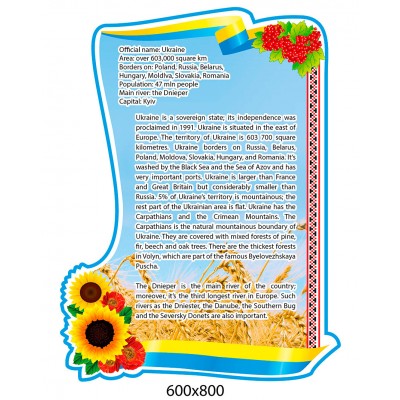 Стенд в кабинет английского языка Подсолнухи